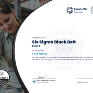 Six Sigma Black Belt Level II Certification