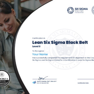 Lean Six Sigma Black Belt Level II Certification