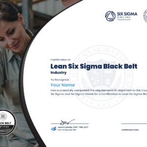 Lean Six Sigma Black Belt Certification in Food Service
