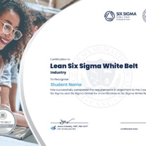 Lean Six Sigma White Belt Certification in E-Commerce