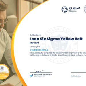 Lean Six Sigma Yellow Belt Certification in Finance