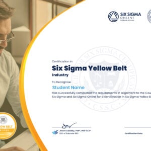Six Sigma Yellow Belt Certification in Sales