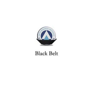 Black Belt Logo