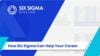 Six Sigma Online Certification - Lean Six Sigma Training
